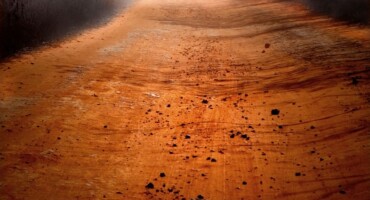 无题, 系列 Terra 瑞玺. 何塞 · 尼斯的照片.