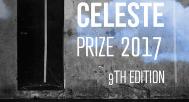 蔚奖 2017, 9由 Üstek 版. 泄露.