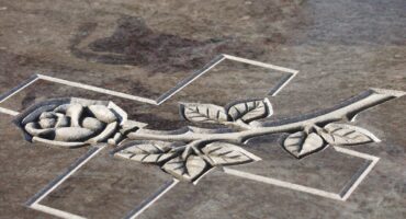 罗莎. 照片: 该图片由Noir在Pixabay上发布.