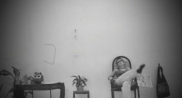 电晕小丑. 照片: CAW捕获.