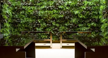 了解如何创建垂直花园来装饰室外区域. 照片: 加布里埃尔·塞萨尔（Jabrie Gabriel） / 抄送.