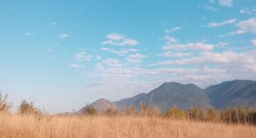 InCawsa Environmental Short Film Festival, Gericino Park. Photo: Ju Yao.