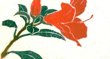 Oswaldo Goeldi, ''Hibisco'', woodcut, 9,8 cm x 13,3 cm. Photo: Disclosure.
