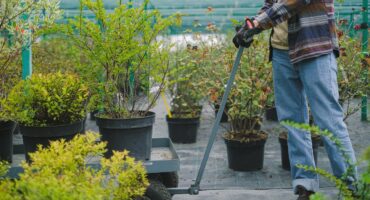 Tips for residential landscaping. Photo: Anna Shvets no Pexels.