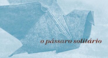 Livro "O pássaro solitário" Alexandra Vieira de Almeida, cover - featured. Disclosure.