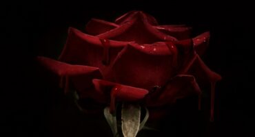 Livro "Entre a Paixão e a Obsessão" from Cleo Dutra, cover - featured. Disclosure.