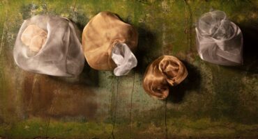 Inflorescences, Esther Bonder. Photo: Gabi career.