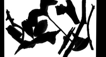 04 - Vicente de Mello - Circus - Oblique Limit series.