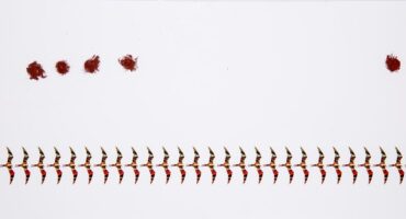 line of flight #02 - credit - Antônio Augusto Bueno and Bebeto Alves.