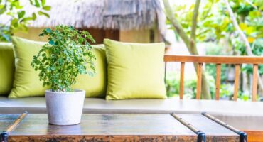 Tips for decorating and building the outside area of ​​a house. Photo: Flower photo created by lifeforstock - br.freepik.com.