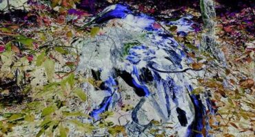 Marcelo Bonfa, "Raíz Azul". Photo: Disclosure.