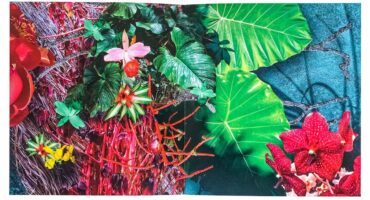 Livro "Asphalt Flower" by Claudia Jaguaribe by French publisher Éditions Bessard. Disclosure.