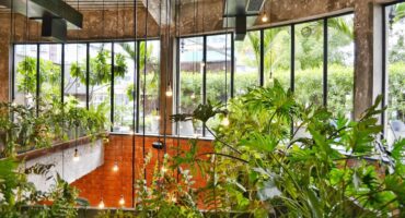 都市丛林: 发现这个新的装饰概念. 照片: 反复无常的旅行者 (萨塔什).