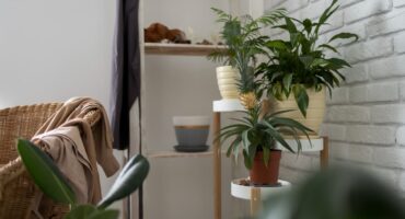 Small apartment: subtle changes renew the decor of the room. Freepik image.