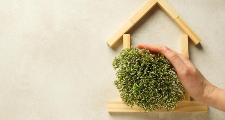 Casa Ecológica: O Que É E Como Montar Uma. Imagem de freepik.