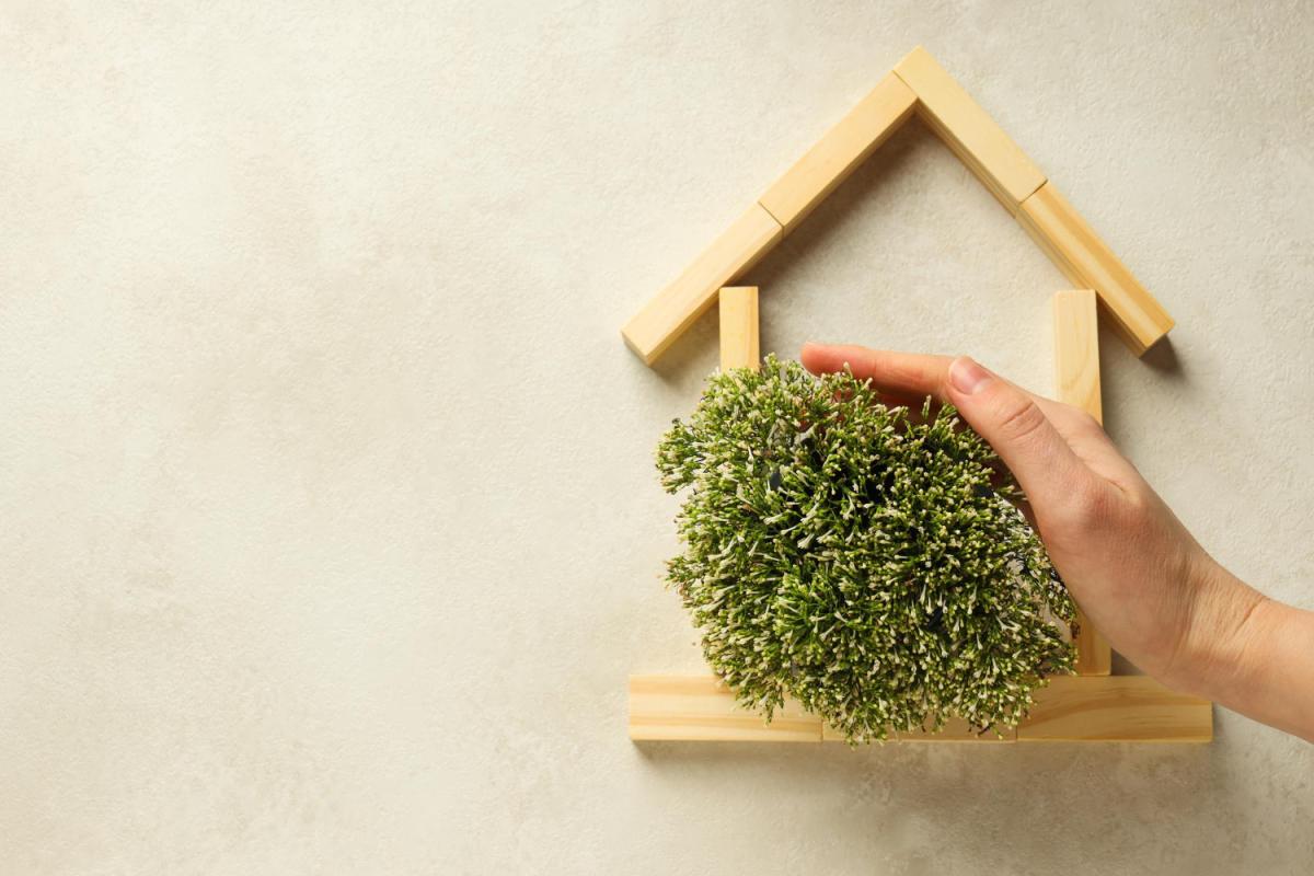 Casa Ecológica: O Que É E Como Montar Uma. Imagem de freepik.