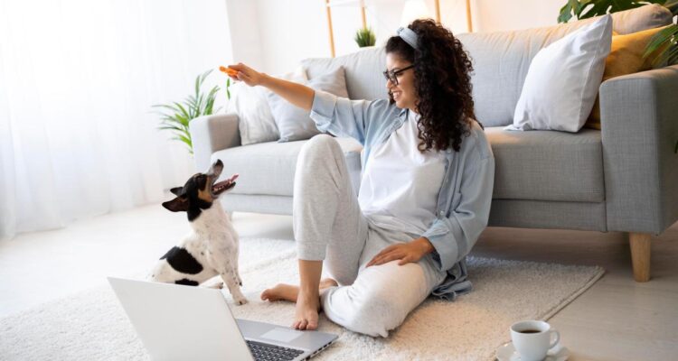 Casa pet-friendly: descubra o que é e como montar uma. Imagem de freepik.