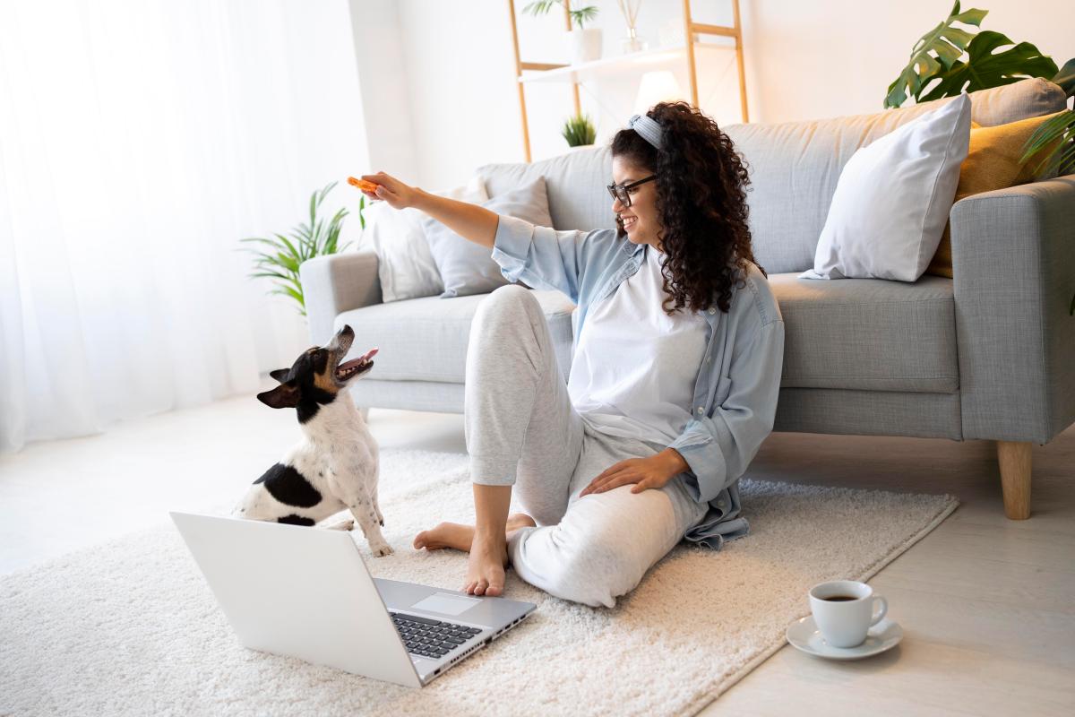 Casa pet-friendly: descubra o que é e como montar uma. Imagem de freepik.