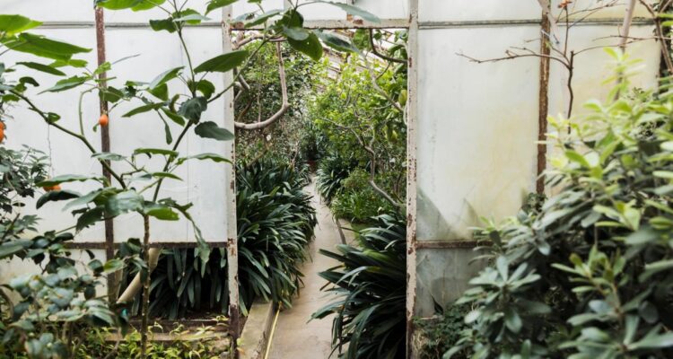 Jardins internos deixam a casa mais verde e acolhedora. Imagem de magnific.