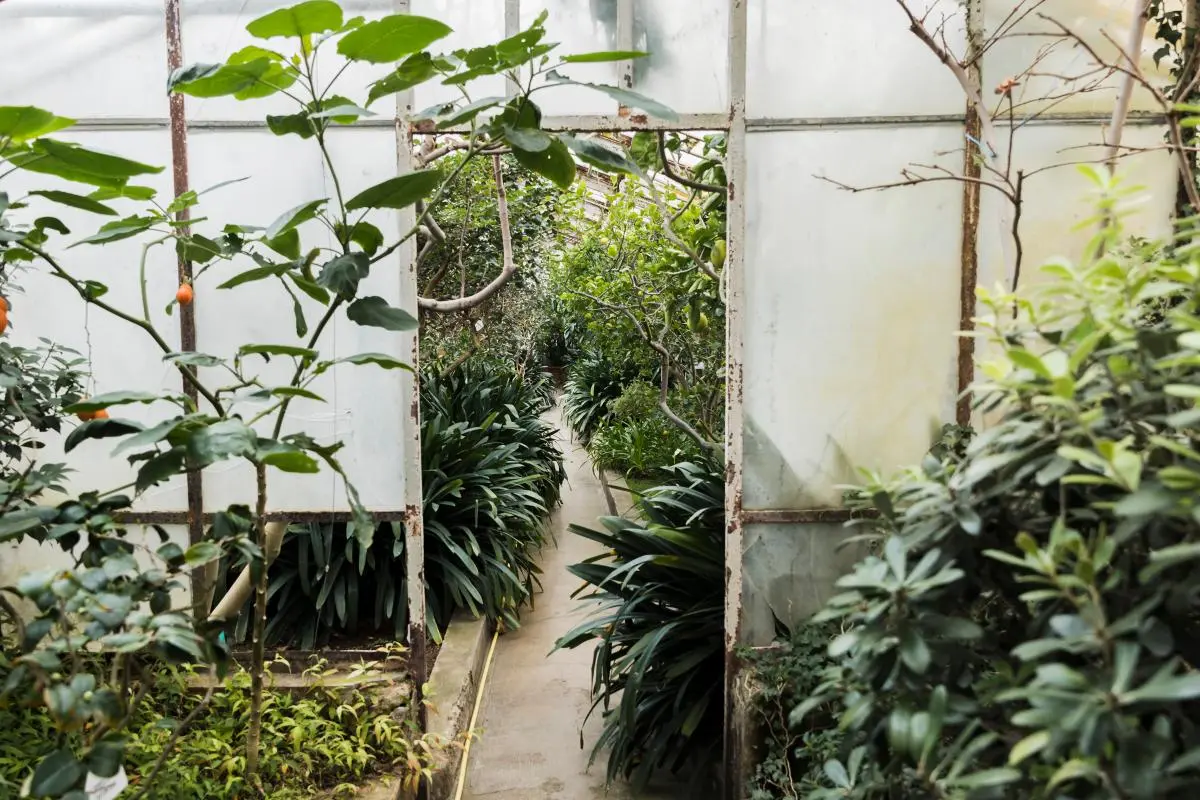 Jardins internos deixam a casa mais verde e acolhedora. Imagem de magnific.